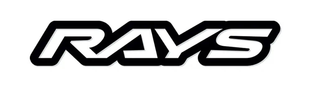 rays-heading