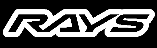 rays_logo_white_on_black